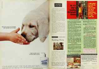 Better Homes & Gardens November 1994 Magazine Article: Page 234