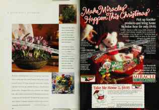 Better Homes & Gardens December 1994 Magazine Article: Page 24