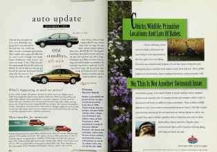 Better Homes & Gardens December 1994 Magazine Article: Page 224