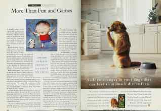 Better Homes & Gardens December 1994 Magazine Article: Page 226