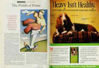 Better Homes & Gardens January 1995 Magazine Article: Page 18