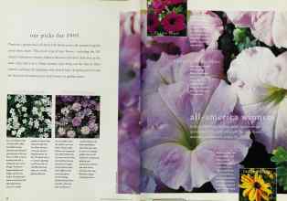 Better Homes & Gardens January 1995 Magazine Article: Page 54
