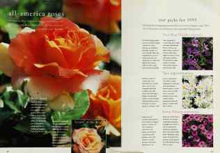 Better Homes & Gardens January 1995 Magazine Article: Page 56
