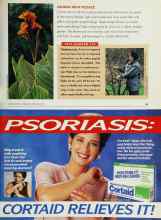 Better Homes & Gardens February 1995 Magazine Article: CANNAS WITH PIZZAZZ