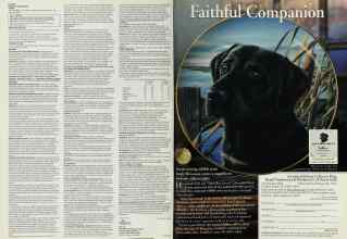 Better Homes & Gardens February 1995 Magazine Article: Page 72