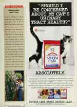 Better Homes & Gardens March 1995 Magazine Article: SENSATIONAL SWEET PEAS