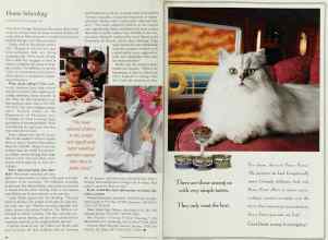 Better Homes & Gardens March 1995 Magazine Article: Page 44