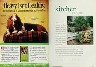 Better Homes & Gardens March 1995 Magazine Article: Page 92