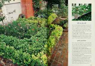 Better Homes & Gardens March 1995 Magazine Article: Page 94