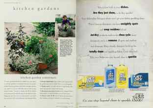 Better Homes & Gardens March 1995 Magazine Article: Page 98