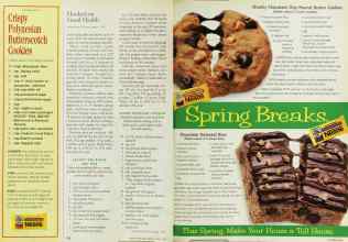 Better Homes & Gardens March 1995 Magazine Article: Page 162