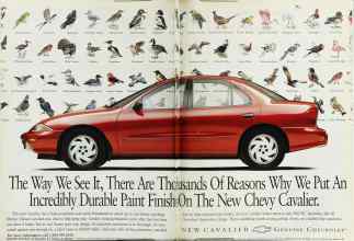 Better Homes & Gardens March 1995 Magazine Article: Page 202