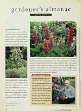 Better Homes & Gardens April 1995 Magazine Article: Towering blooms
