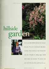 Better Homes & Gardens April 1995 Magazine Article: Hillside garden