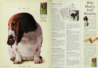 Better Homes & Gardens April 1995 Magazine Article: Page 36