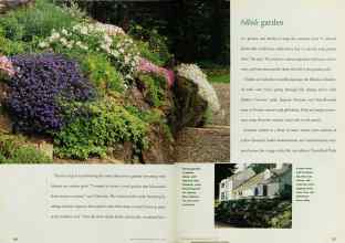 Better Homes & Gardens April 1995 Magazine Article: Page 120
