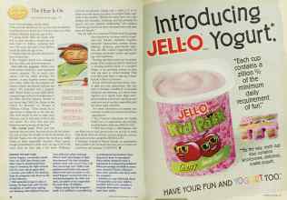 Better Homes & Gardens May 1995 Magazine Article: Page 48