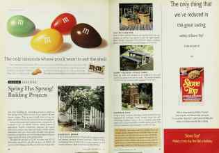 Better Homes & Gardens May 1995 Magazine Article: Spring Has Sprung! Building Projects