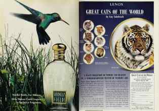 Better Homes & Gardens May 1995 Magazine Article: Page 90