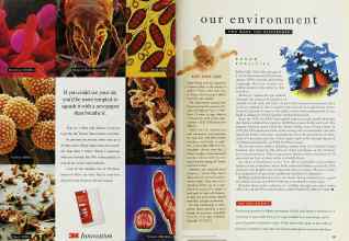 Better Homes & Gardens May 1995 Magazine Article: Page 98