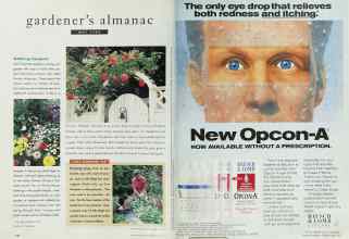 Better Homes & Gardens May 1995 Magazine Article: Page 110