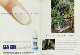 Better Homes & Gardens May 1995 Magazine Article: Page 114