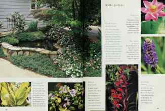Better Homes & Gardens May 1995 Magazine Article: Page 126