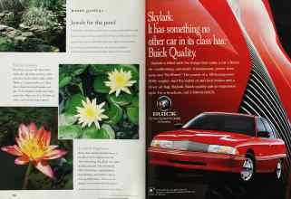 Better Homes & Gardens May 1995 Magazine Article: Page 128