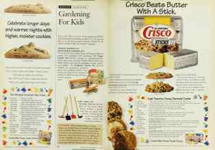 Better Homes & Gardens May 1995 Magazine Article: Page 224