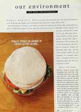 Better Homes & Gardens June 1995 Magazine Article: Super nozzles