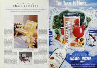 Better Homes & Gardens June 1995 Magazine Article: Page 22