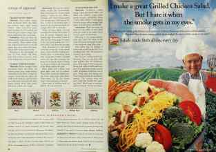 Better Homes & Gardens June 1995 Magazine Article: Page 38