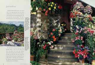 Better Homes & Gardens June 1995 Magazine Article: Page 84