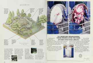 Better Homes & Gardens June 1995 Magazine Article: Page 90