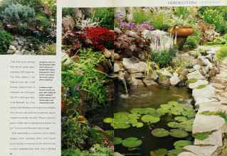 Better Homes & Gardens June 1995 Magazine Article: Page 96