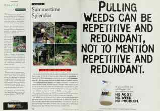 Better Homes & Gardens June 1995 Magazine Article: Page 102