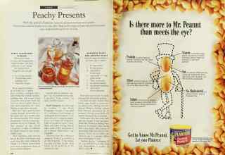 Better Homes & Gardens June 1995 Magazine Article: Page 188