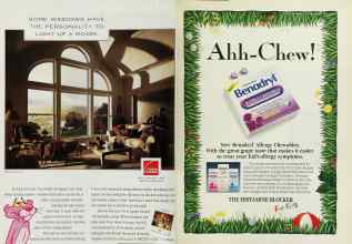 Better Homes & Gardens June 1995 Magazine Article: Page 200