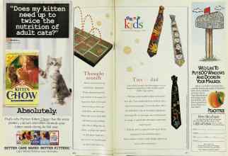 Better Homes & Gardens June 1995 Magazine Article: Page 210