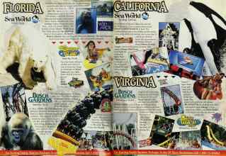 Better Homes & Gardens June 1995 Magazine Article: Page 214