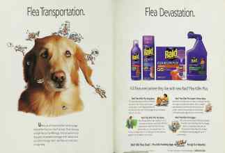 Better Homes & Gardens July 1995 Magazine Article: Page 4