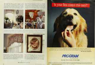 Better Homes & Gardens July 1995 Magazine Article: Page 34