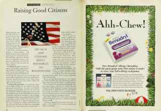 Better Homes & Gardens July 1995 Magazine Article: Page 40