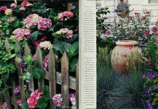 Better Homes & Gardens July 1995 Magazine Article: Page 84