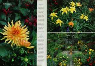 Better Homes & Gardens July 1995 Magazine Article: Page 86