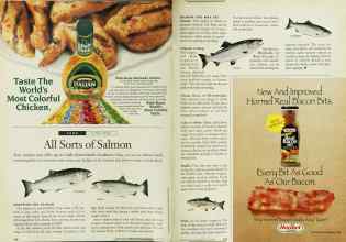 Better Homes & Gardens July 1995 Magazine Article: All Sorts of Salmon