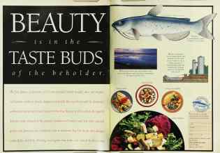 Better Homes & Gardens August 1995 Magazine Article: Page 54