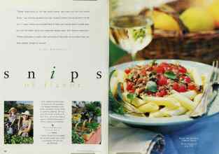 Better Homes & Gardens August 1995 Magazine Article: Page 132