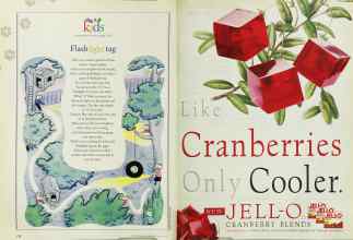 Better Homes & Gardens August 1995 Magazine Article: Page 170