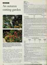 Better Homes & Gardens September 1995 Magazine Article: An autumn cutting garden